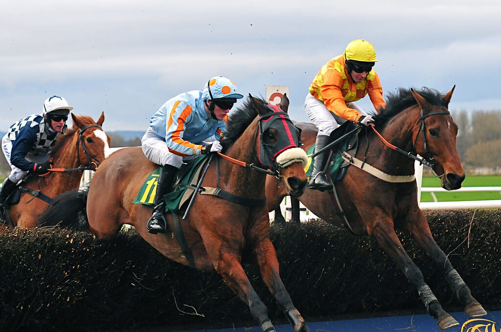 Cheltenham Race Prediction Fundraiser